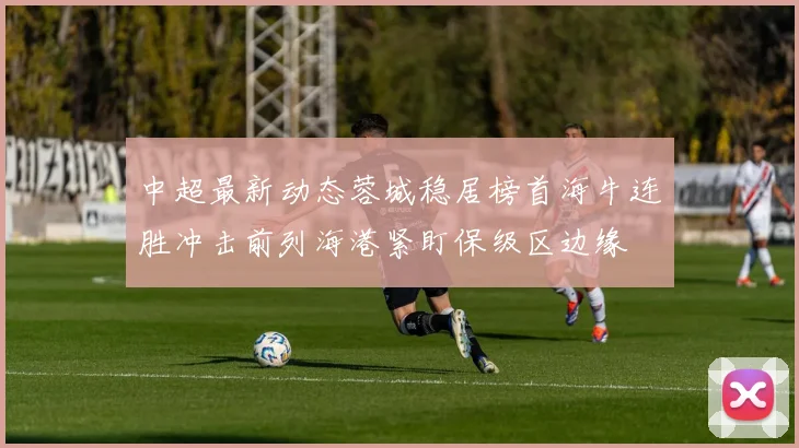 中超最新动态蓉城稳居榜首海牛连胜冲击前列海港紧盯保级区边缘