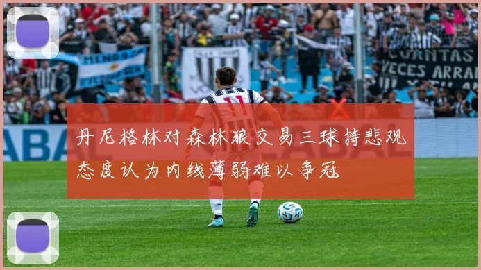 丹尼格林对森林狼交易三球持悲观态度认为内线薄弱难以争冠