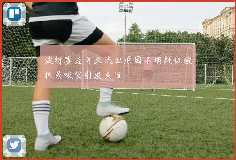 波特赛后耳朵流血原因不明疑似被抓或咬伤引发关注