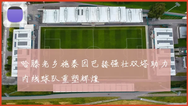 哈滕老乡施泰因巴赫强壮双塔助力内线球队重塑辉煌